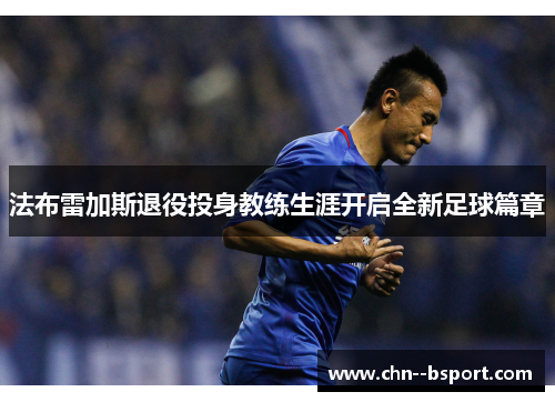 法布雷加斯退役投身教练生涯开启全新足球篇章 法布雷加斯退役投身教练生涯开启全新足球篇章